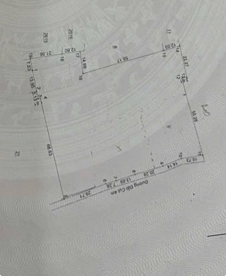 Đất nền chính chủ Phường Mỹ Phước, Bến Cát 10.000m² - Cơ hội đầu tư tuyệt vời!