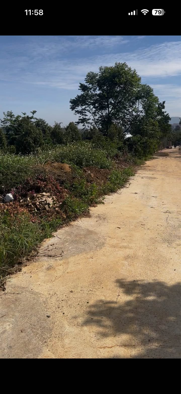 Đất thổ cư Hẻm QLO20 Thị trấn Di Linh 350m² giá 2.35 tỷ - Cơ hội đầu tư lý tưởng!