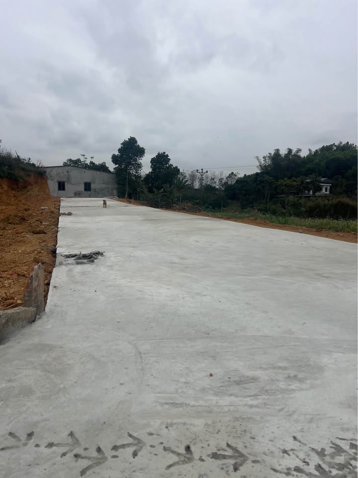 Đất nền Phường Nông Tiến, Tuyên Quang 300m² - Đầu tư sinh lời ngay!