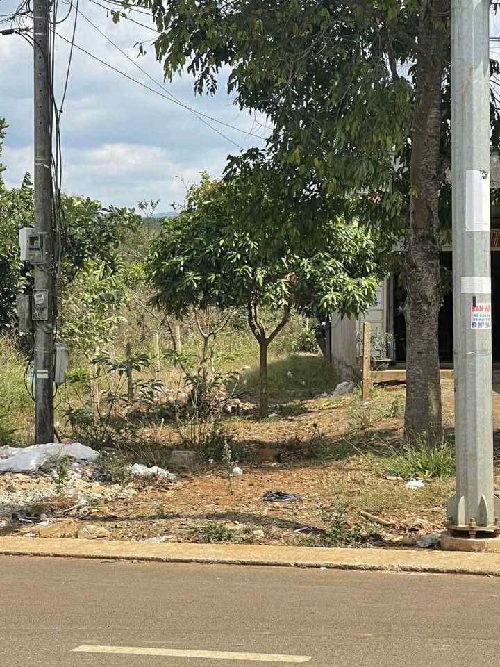 Đất thổ cư 150m² Quốc lộ 20, xã Liên Đầm, Di Linh giá 3 tỷ - Cơ hội đầu tư hấp dẫn!