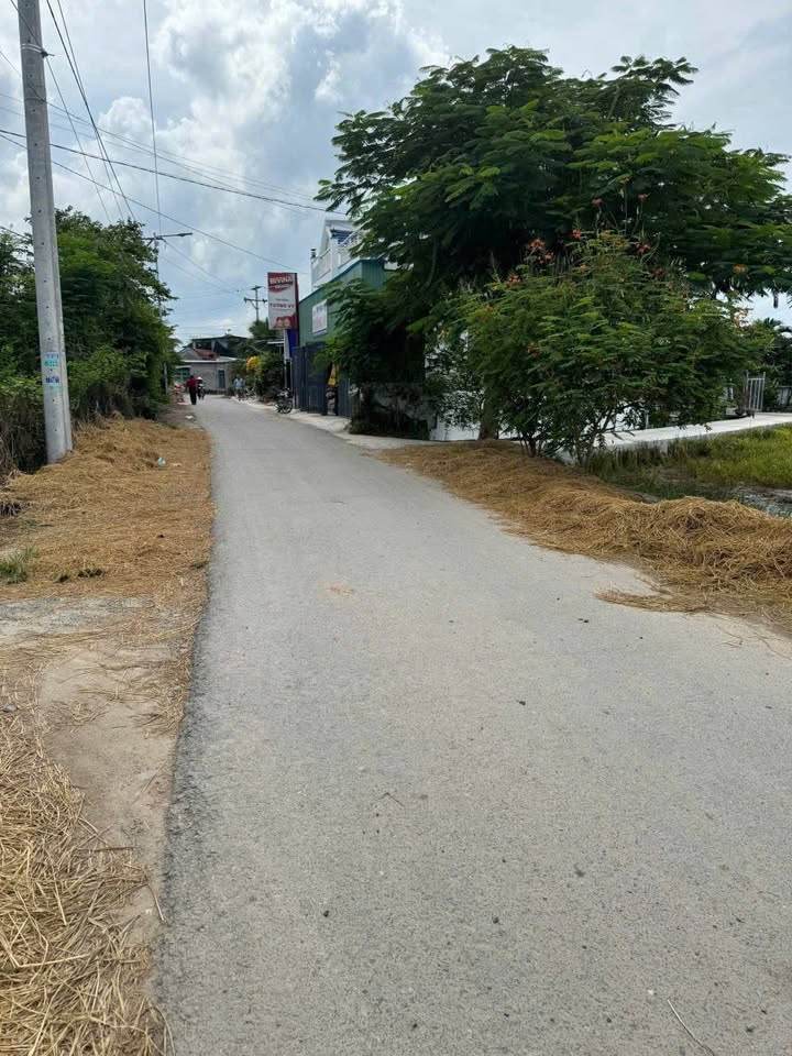 Đất ở Phú Thạnh, Ninh Giang 76.5m² giá chỉ 330 triệu - Cần bán gấp!