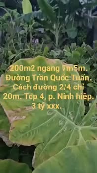 Đất nền trung tâm Phường Ninh Hiệp 200m² giá 3 tỷ - Đầu tư sinh lời ngay!