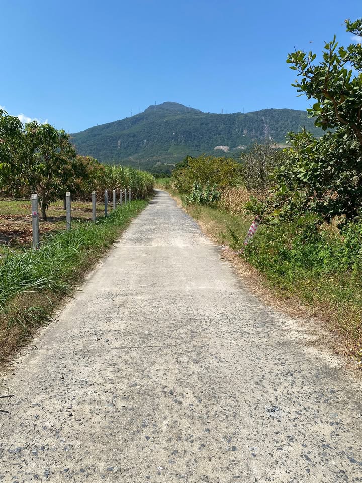 Đất vườn Cam An Bắc Cam Lâm 2400m² giá chỉ 480 triệu - Cơ hội đầu tư tuyệt vời!