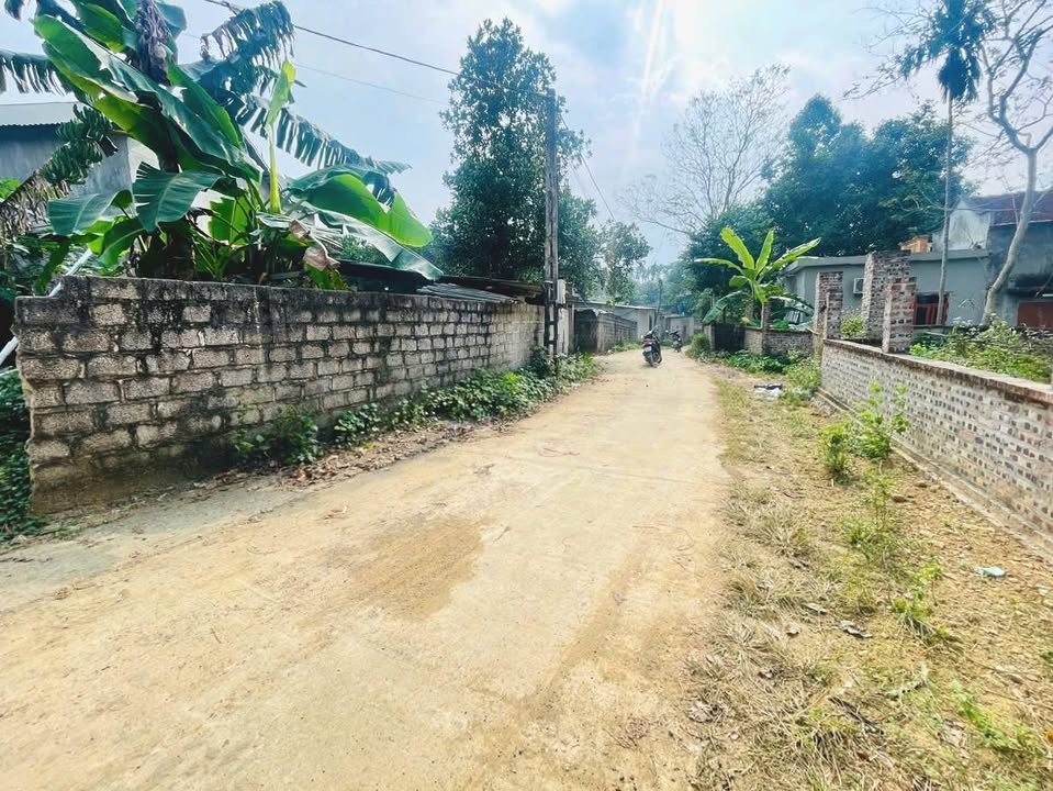 Đất nền tại Xã Cư Yên, Huyện Lương Sơn, 150m² giá 1,1 tỷ - Sổ đỏ chính chủ!