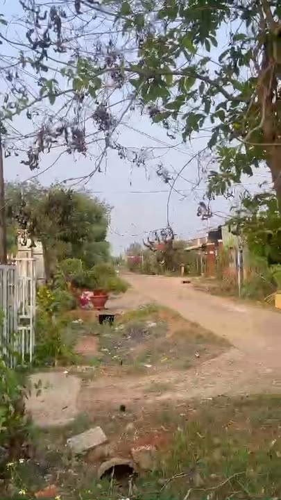 Nhà Ấp Cây Điệp, Tân Phước, 230m² giá 800 triệu - Gần chợ tiện lợi!