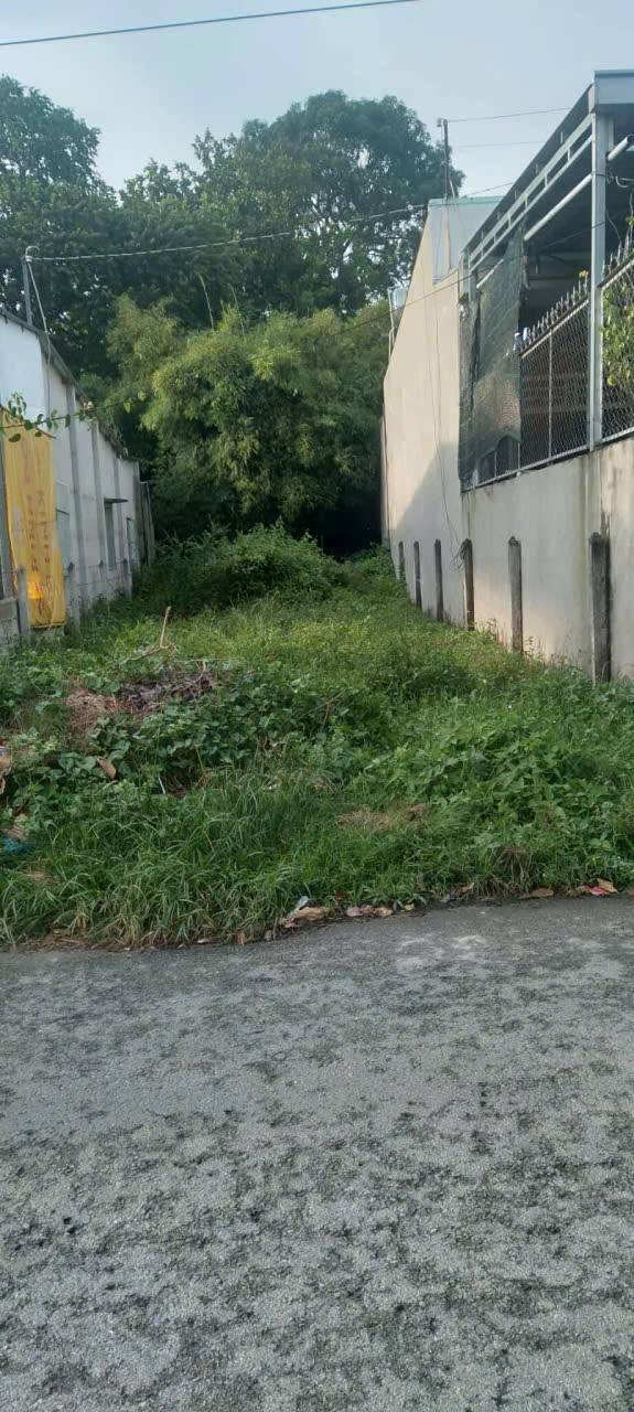 Đất nền Phường Tân An, Thủ Dầu Một 132m² giá chỉ 2 tỷ - Cơ hội đầu tư không thể bỏ qua!