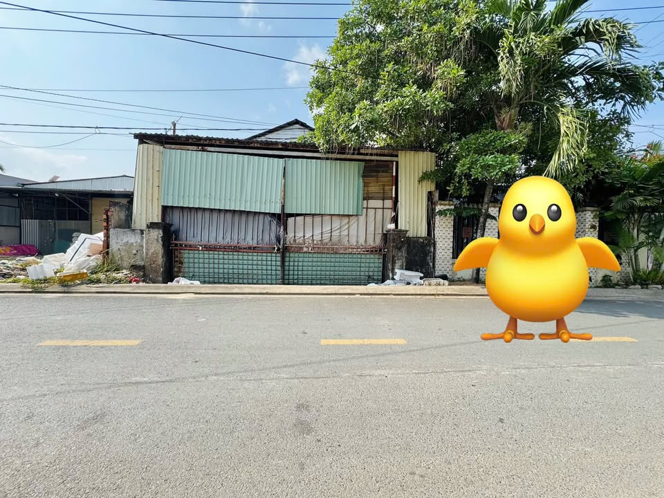 Đất mặt tiền Lê Thị Hồng Gấm, Trà Nóc 188m² giá 2.1 tỷ - Cơ hội đầu tư tốt!