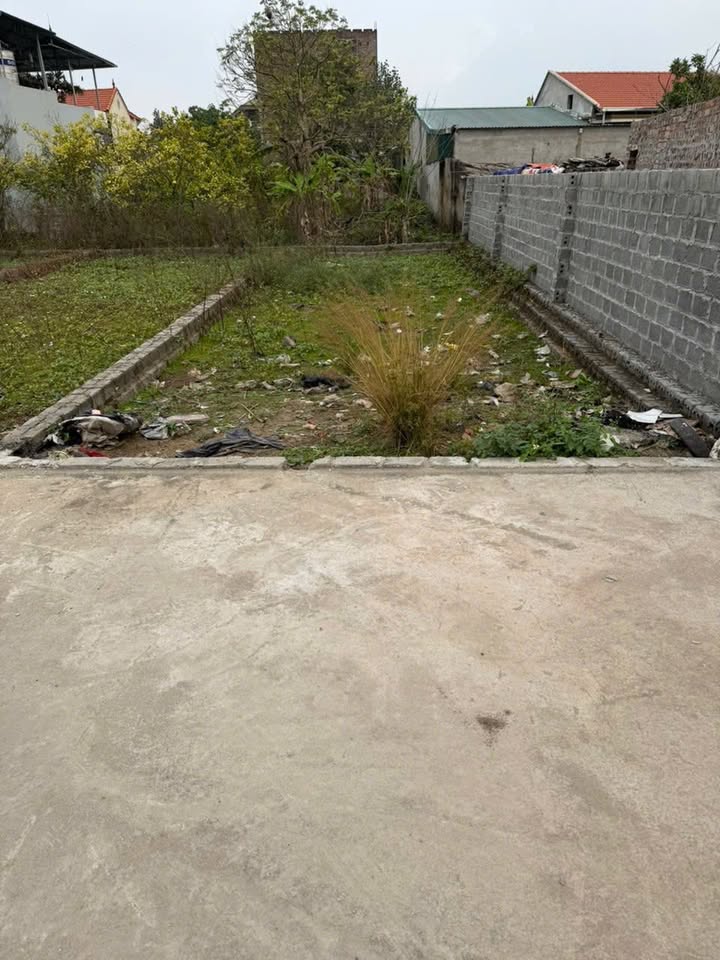 Đất nền chính chủ tại Chương Lộc, Thường Tín 80m² giá 2.4 tỷ - Ô tô vào tận nhà!