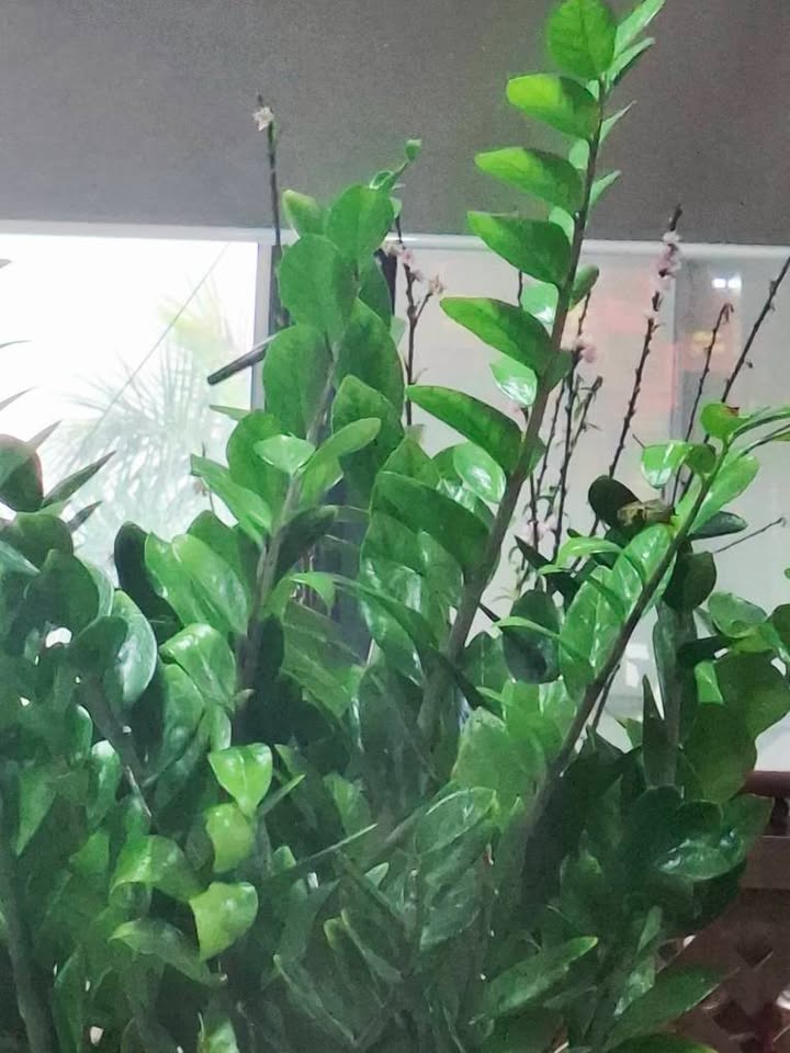 Nhà bán Phường Nam Ngạn 72m² giá 3.38 tỷ - Vị trí đẹp gần chợ