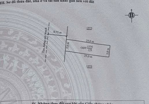 Đất nền đầu tư Xã Tân Thành, 125m² giá chỉ 1.6 tỷ - Cơ hội không thể bỏ lỡ!