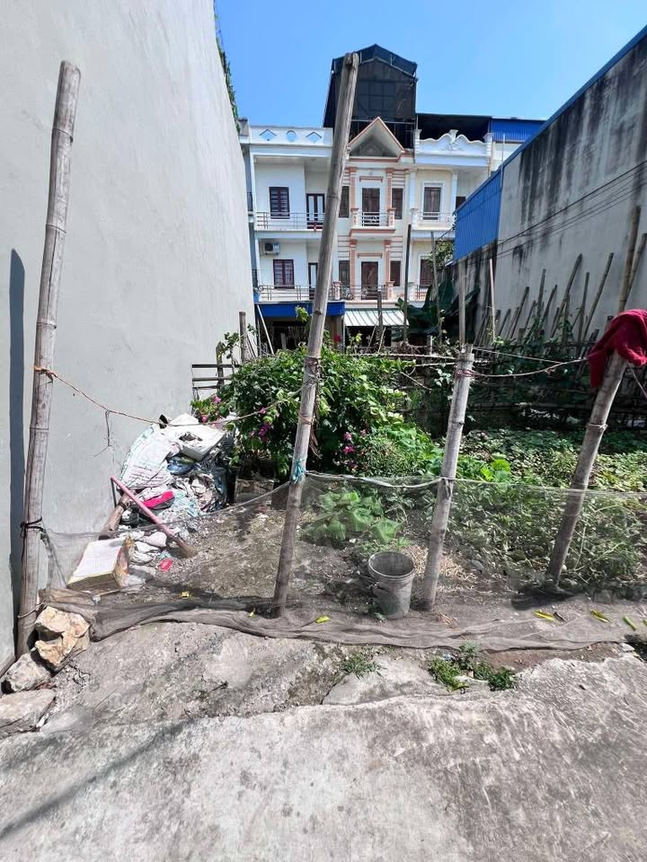 Đất nền Mỹ Xá, thành phố Nam Định 60m² giá 1.65 tỷ - Ô tô vào tận nơi!