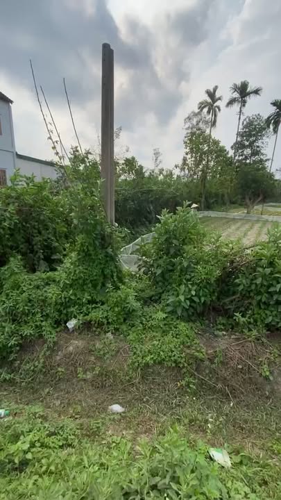 Đất nền Thanh Mỹ, huyện Thanh Chương 400m² giá mềm - Nhanh tay sở hữu!