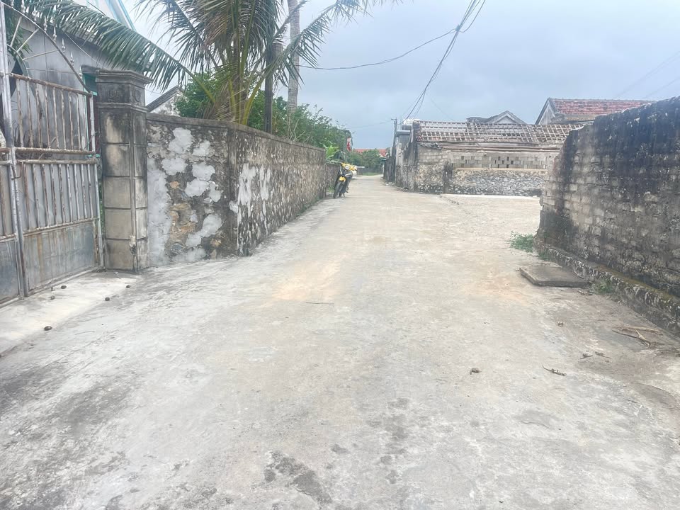 Lô đất Xóm 3, Hạnh Quảng, Diễn Châu 147m² giá chỉ 900 triệu - Cơ hội đầu tư tuyệt vời!