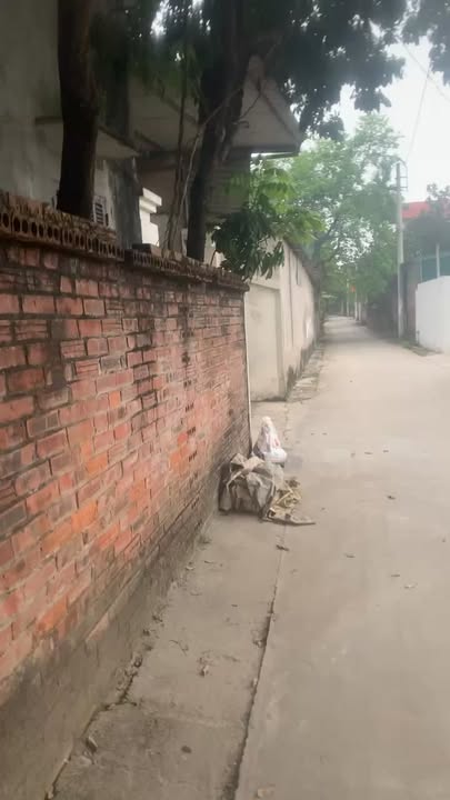 Đất nền tại Xã Hòa Lạc, Huyện Thạch Thất 135m² giá 2.7 tỷ - Tiềm năng sinh lời cao!