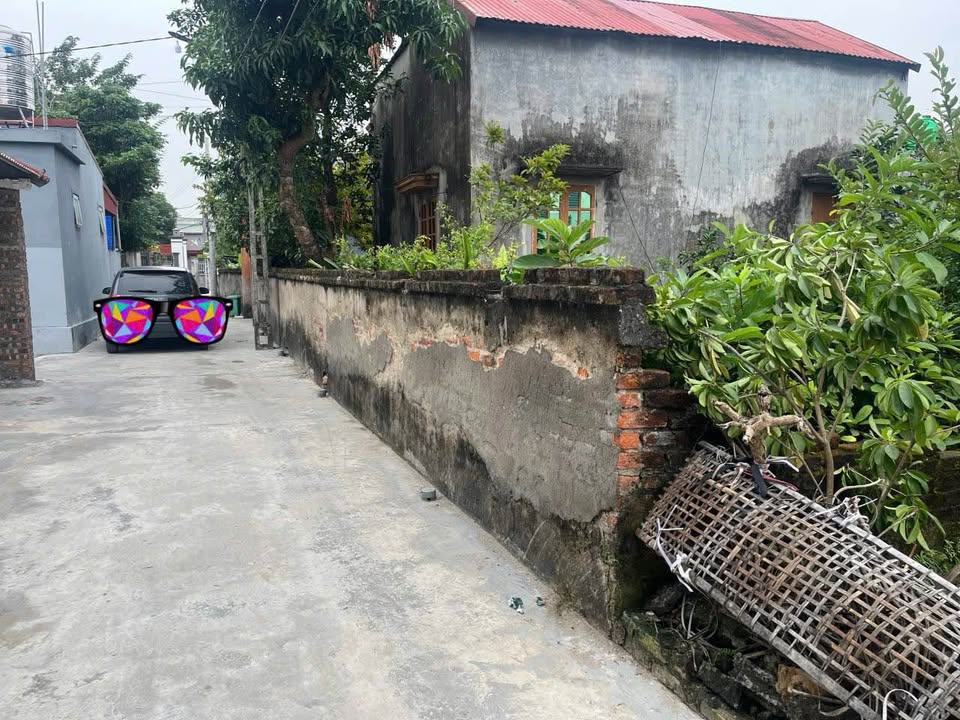 Đất nền Côi Hạ, Gia Lộc 100m² giá 1.5 tỷ - Đầu tư sinh lời ngay!