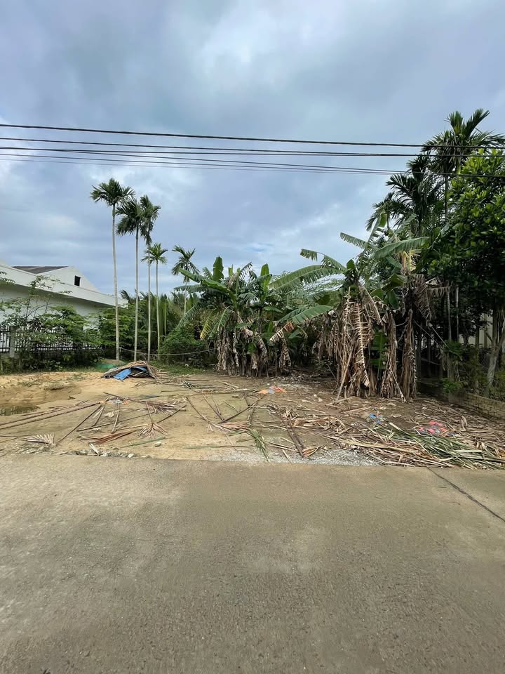 Đất nền Cẩm Thanh Hội An 364m² giá 7.2 tỷ - Vị trí đẹp, an ninh tốt!