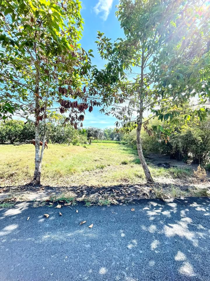 Đất nền 511m² tại Hẻm 1, Đường Trung Lập, Củ Chi - Thổ cư 42m², giá chỉ 2.4 tỷ!