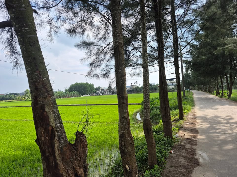 Đất ở Hòa Tiến 170m² giá 1.3 tỷ - Sát đường nhựa ô tô thông