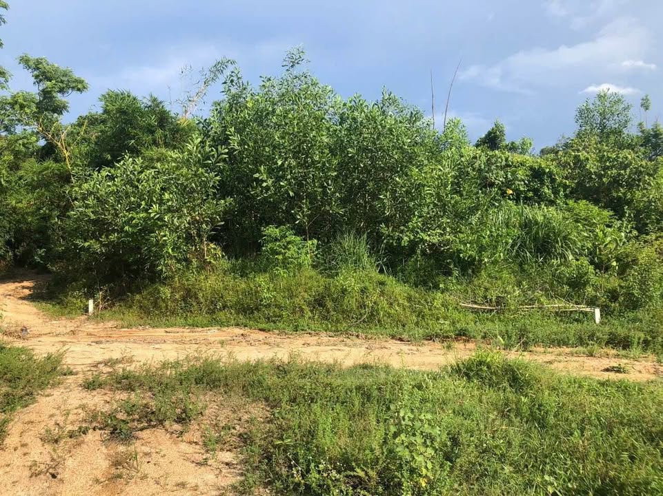 Đất Hương Thọ, Huế 261m² giá 870 triệu - Khổ đất đẹp, 2 mặt thoáng!