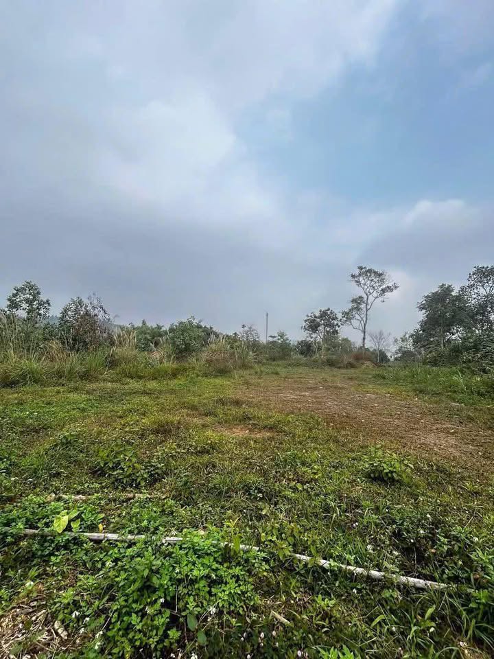 Đất nền Phúc Xuân 3000m² giá 5 tỷ - Đầu tư sinh lời hoặc xây biệt thự lý tưởng!