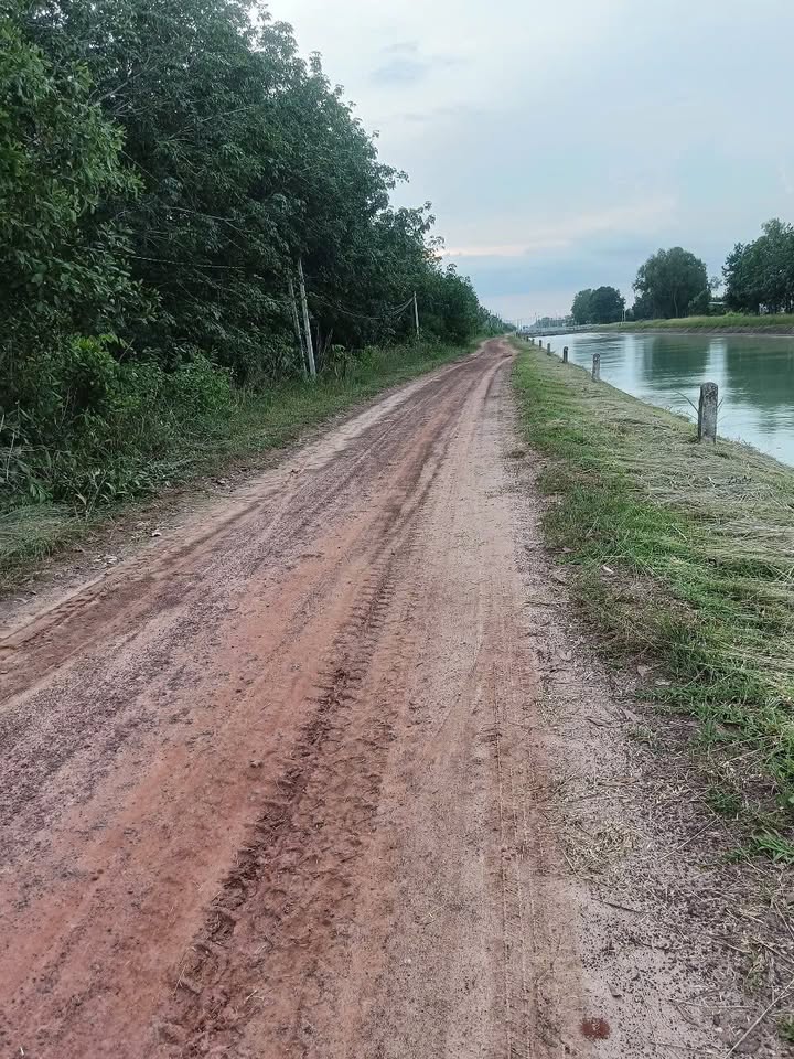 Đất Lúa Ấp Lộc Tiến, Trảng Bàng 506m² giá 850 triệu - Đầu tư sinh lời ngay!