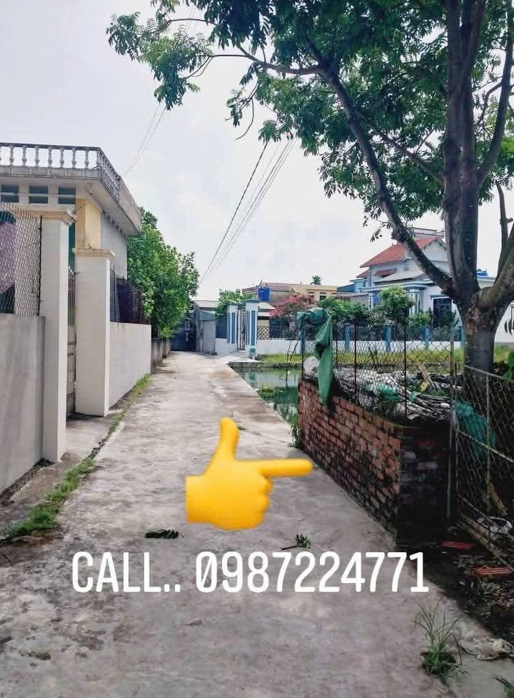 Đất nền xã Quỳnh Phụ 137.5m² giá 1 tỷ - Đầu tư sinh lời ngay!