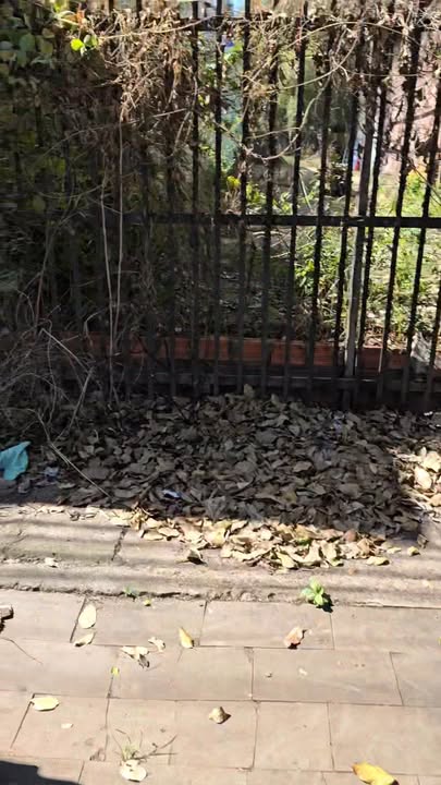 Nhà mặt tiền đường Lê Lợi, Thị trấn Chư Sê, 6960m² giá 97.92 tỷ - Đầu tư sinh lời ngay!