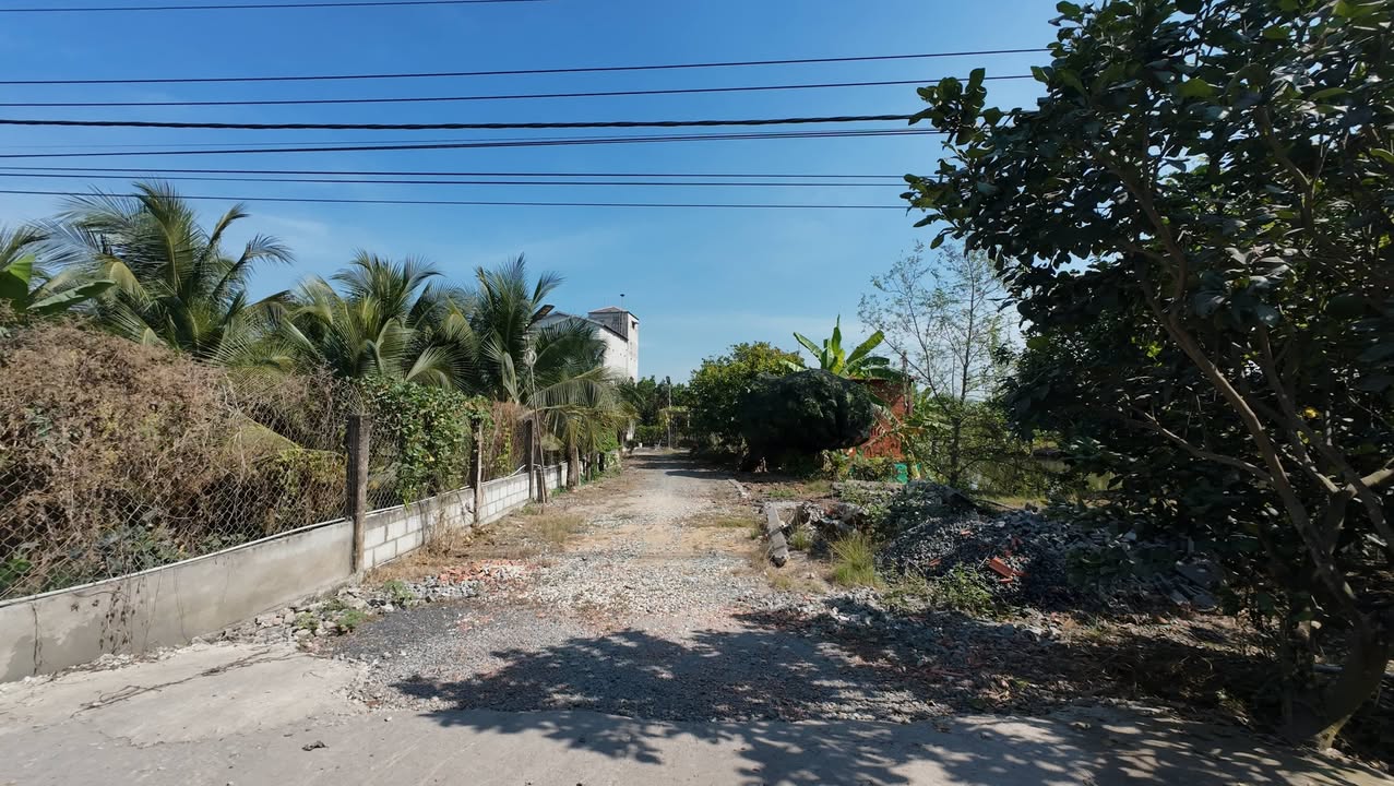 Đất mặt tiền đường Nguyễn Văn Cương, Tân Khánh, 10.144m² - Cơ hội đầu tư tuyệt vời!