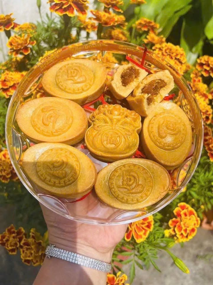 Đất vườn 173m² Phường 7 Tân An giá 470 triệu - Cơ hội đầu tư tuyệt vời!