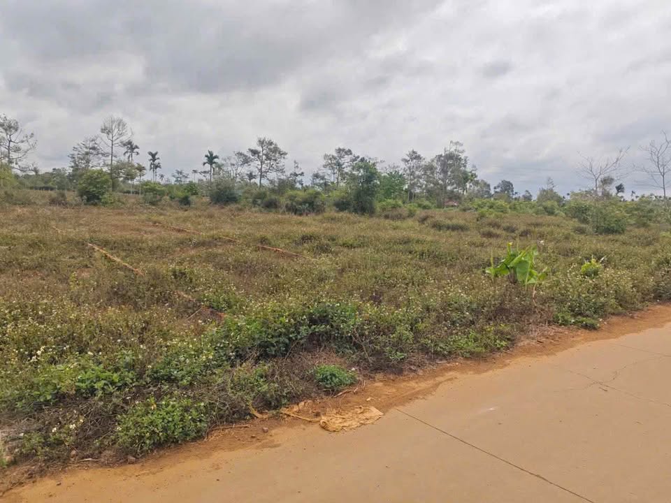 Đất thổ cư Xã Cuor Đăng 110m² giá 540 triệu - Cơ hội đầu tư hiếm có!