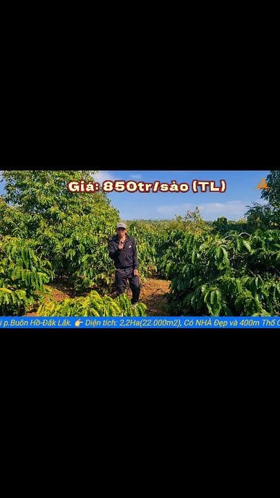 Nhà vườn đẳng cấp tại Phường Đoàn Kết, Buôn Hồ, Đắk Lắk - Diện tích 2,2ha, giá 20.46 tỷ