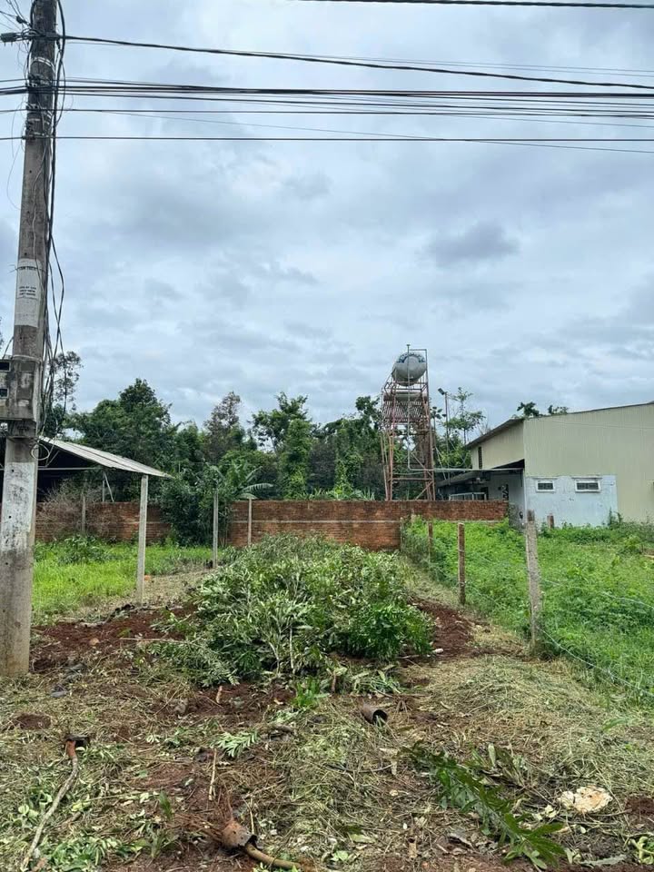 Đất thổ cư tại Ea Kmar, Đắk Lắk 104m² giá 550 triệu - Đầu tư sinh lời ngay!