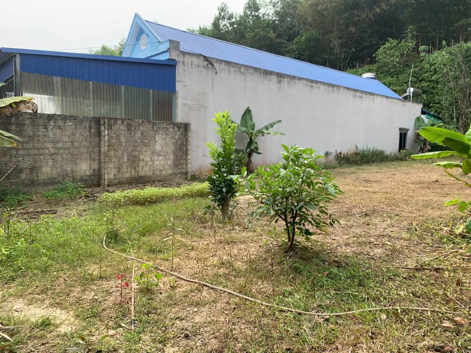 Đất nền chính chủ TDP Trầm Ân, Yên Sơn, 180m² giá thỏa thuận - Cơ hội đầu tư hấp dẫn!