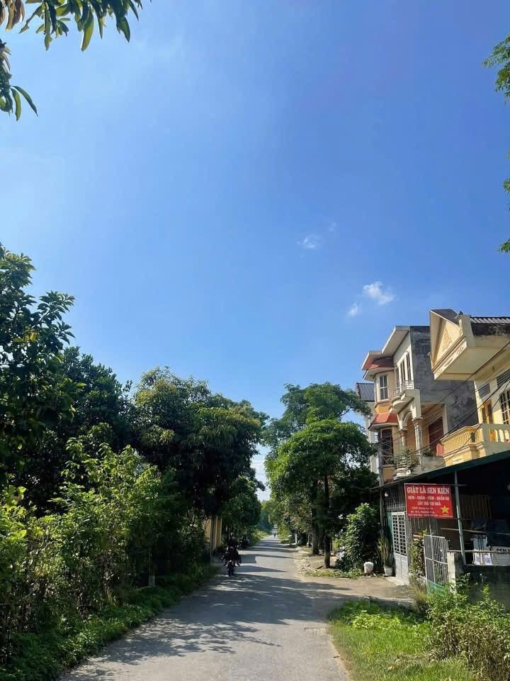 Đất nền phường Ỷ La, Tuyên Quang 90m² giá 1.8 tỷ - Cơ hội đầu tư hiếm có!