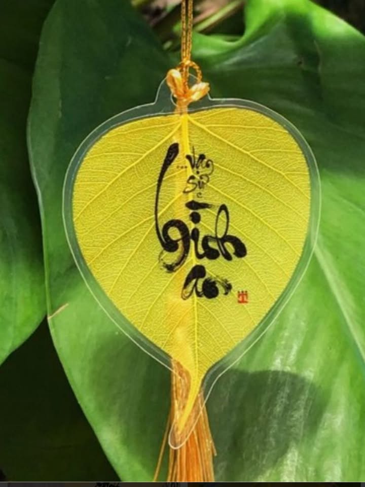 FrontHouse mặt tiền đường 91b, Quận Ninh Kiều 350m² - Cơ hội kinh doanh tuyệt vời!