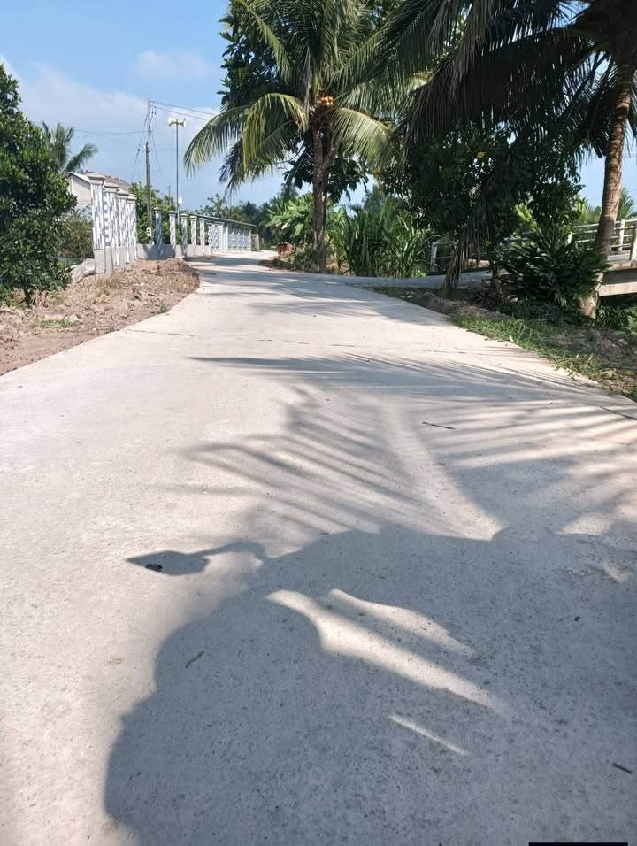 Đất nền 500m² tại Mỹ Thạnh Trung, Vĩnh Long - Chỉ 400 triệu, cơ hội đầu tư vàng!