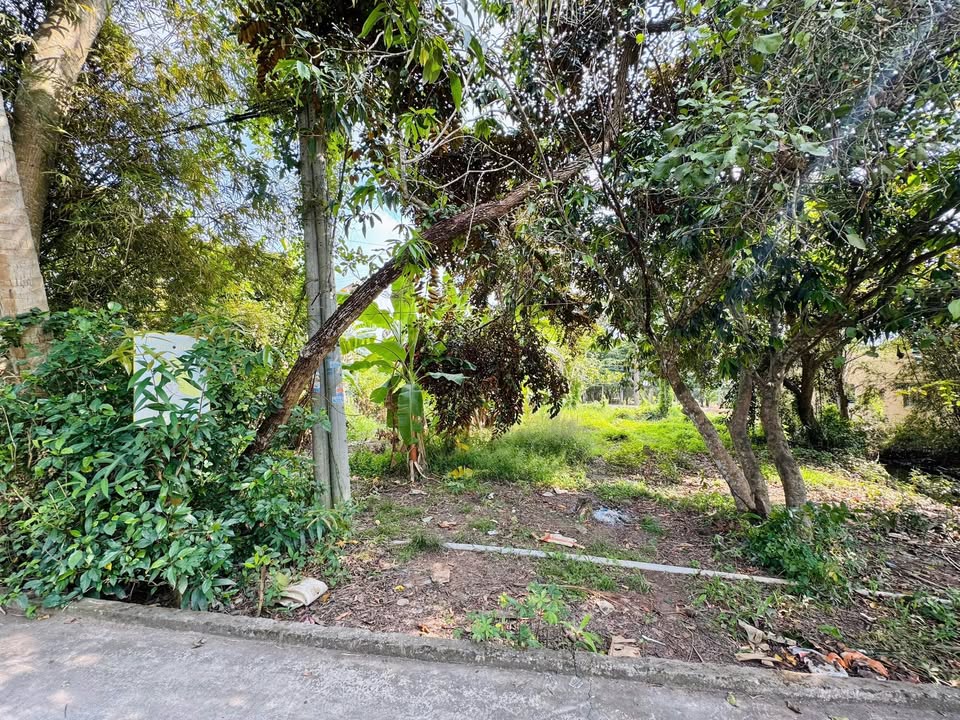 Đất 2 mặt tiền Nguyễn Viết Xuân, Lê Thị Hồng Gấm 670m² giá 5 tỷ - Thương lượng ngay!