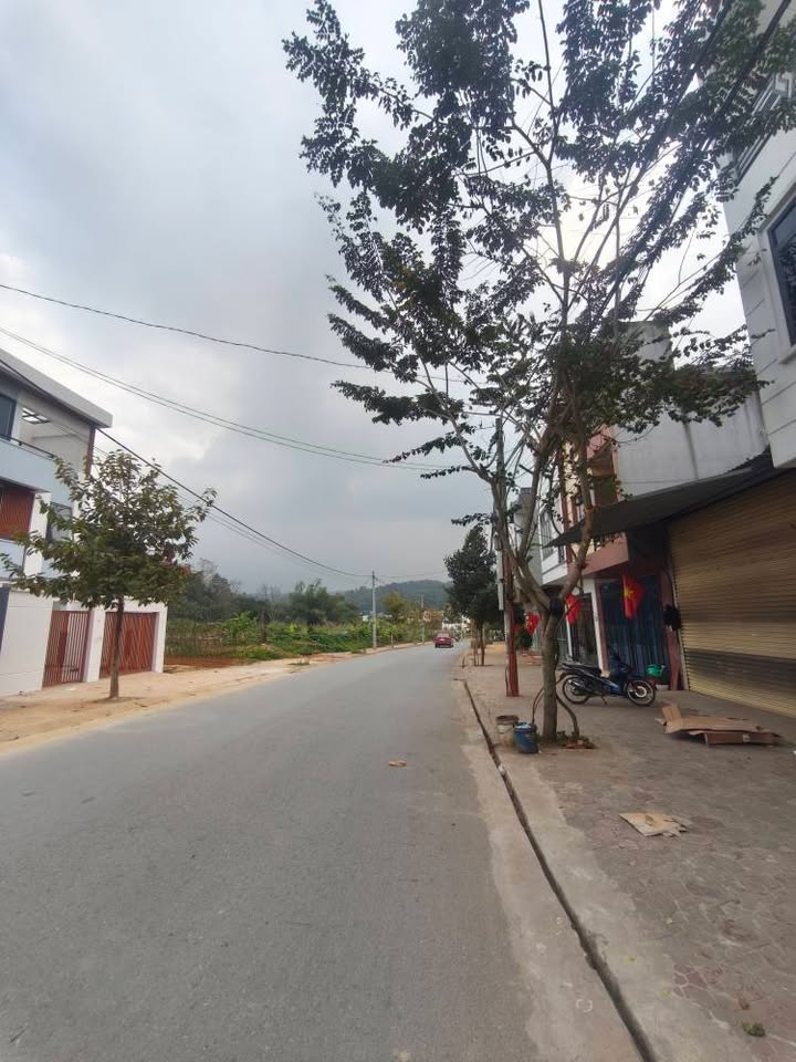 Đất liền kề H5 Minh Đức Lào Cai 117m² giá 1 tỷ - Vị trí đắc địa gần siêu thị Go