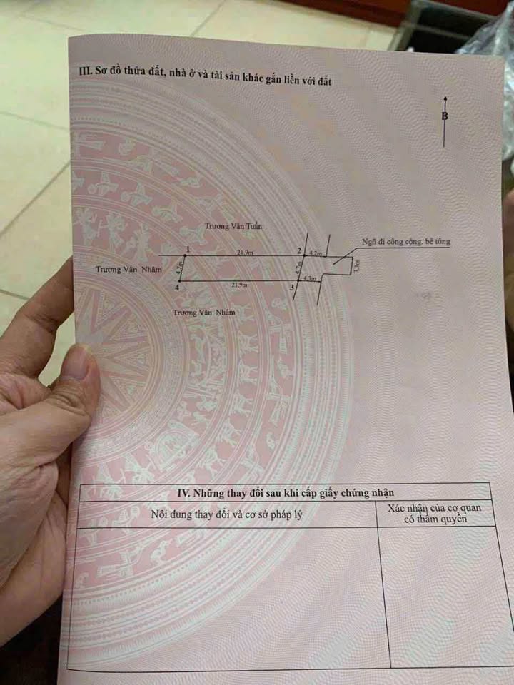 Đất nền quận An Dương, Hải Phòng 100m² giá 2.2 tỷ - Ô tô đỗ cửa, kinh doanh sầm uất!