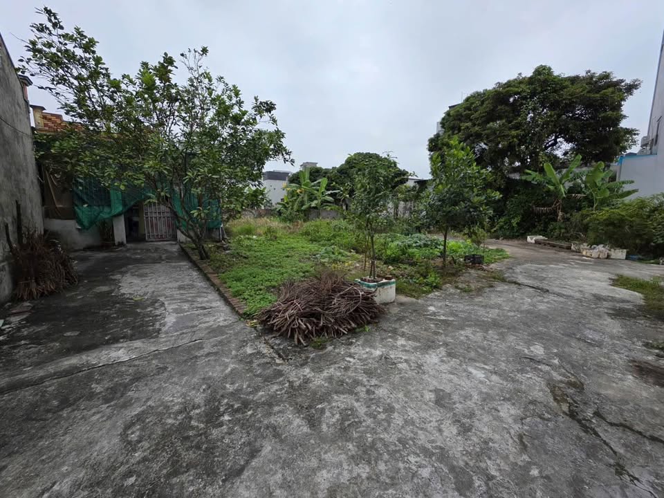 Bán đất Trần Hưng Đạo Thái Bình 44.6m² giá chỉ 800 triệu - Ô tô vào tận nơi!