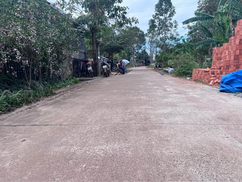 Đất thổ cư chính chủ phường Ea Tam 100m² giá 1.75 tỷ - Hẻm thông ô tô vào tận nơi!