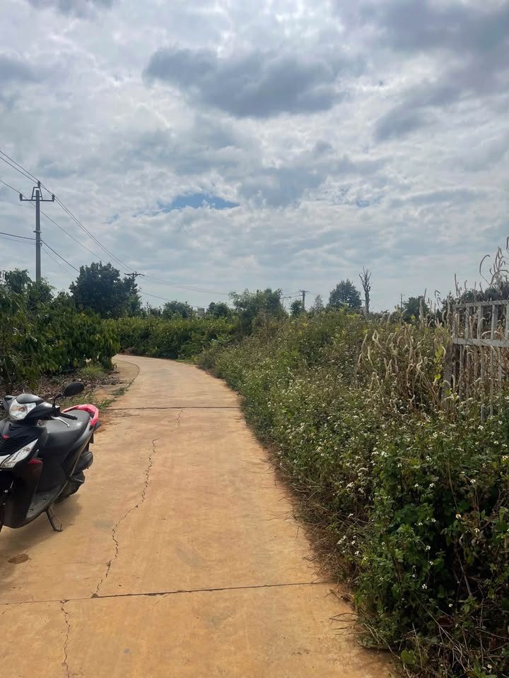 Lô Đất Đẹp Gần Phim Trường Xinh - Khánh Xuân 250m² giá 1.7 tỷ - Đầu tư sinh lời!