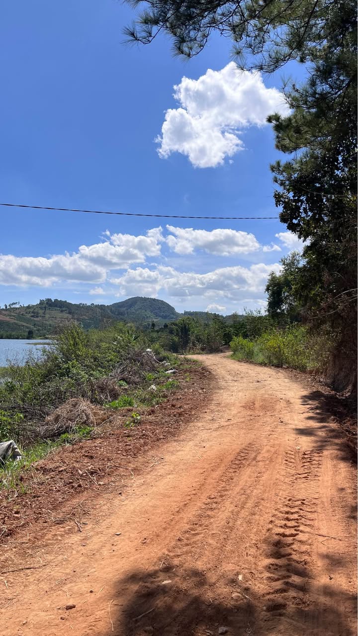 Đất nền Tân Hội Đức Trọng 1440m² 1.6 tỷ - Đường ô tô