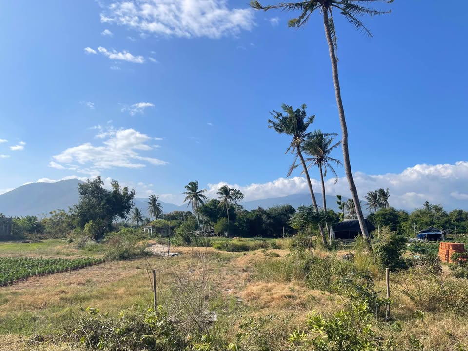 Đất thổ cư 173m² tại Vạn Ninh giá chỉ 5 tỷ - Hướng Đông đẹp