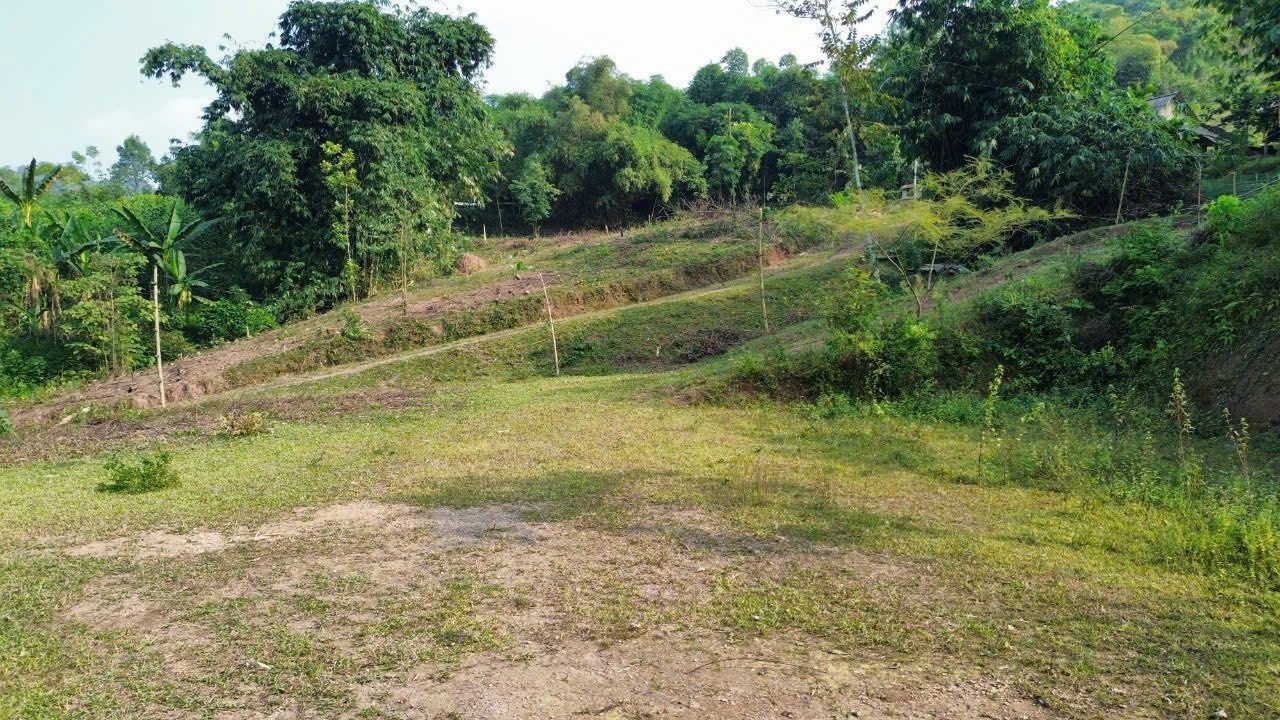 Đất thổ cư 3500m² tại Liên Sơn, Lương Sơn - Giá chỉ 4.235 tỷ, cần bán gấp!