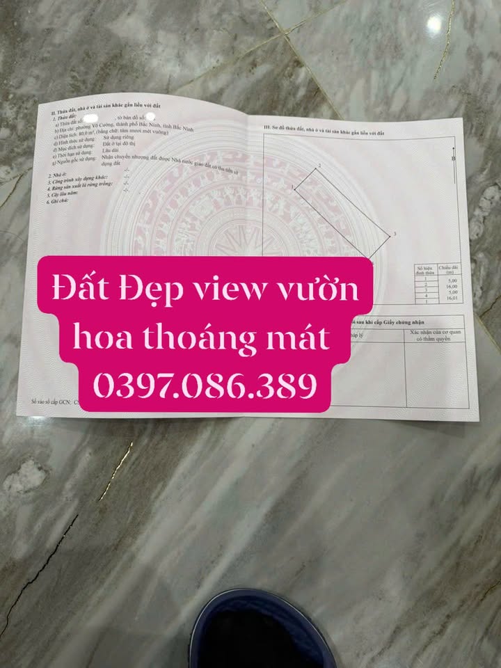 Đất nền Khu đấu giá Xuân Ổ B, Võ Cường, 80m² giá 5 tỷ - View Vườn Hoa tuyệt đẹp!