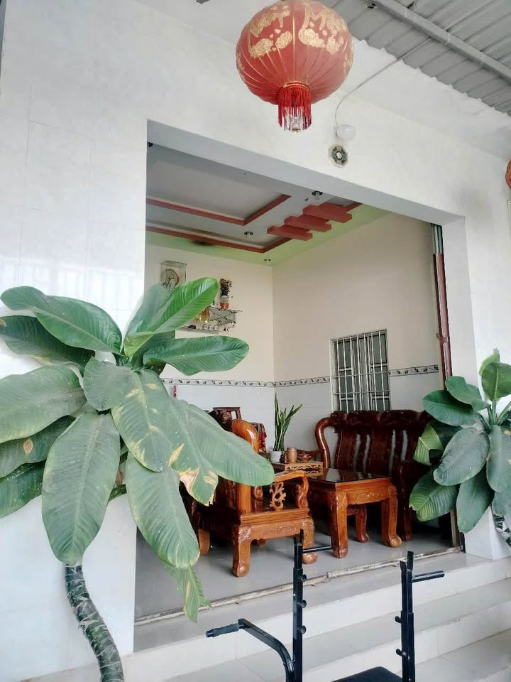 Nhà cấp 4 mặt tiền betong Hàm Thắng 98m² giá 1.25 tỷ - Bán gấp trước Tết!