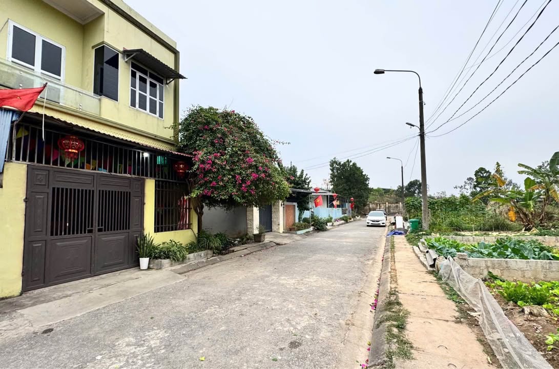 Đất TDC Z115, Xã Long Tân, Huyện Nhơn Trạch, 100m² - Vị trí đắc địa, giá chỉ 2 tỷ!