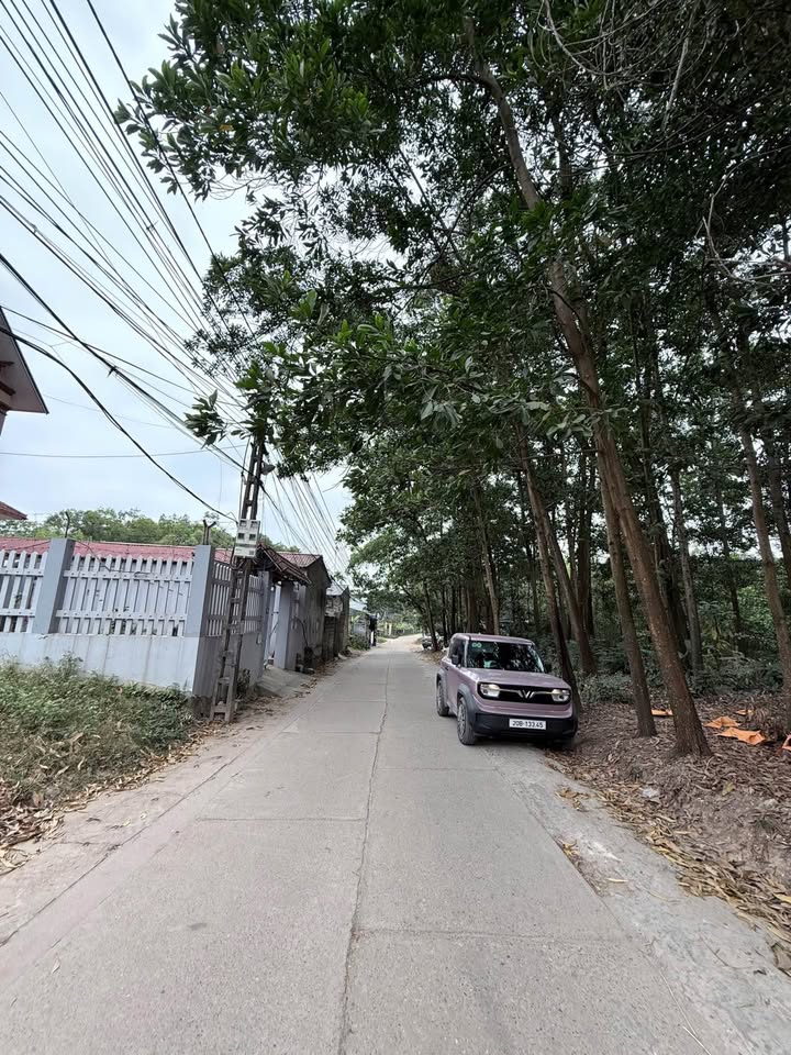 Đất nền Phan Đình Phùng Đà Nẵng 140m² giá 4 tỷ - Cơ hội đầu tư không thể bỏ lỡ!