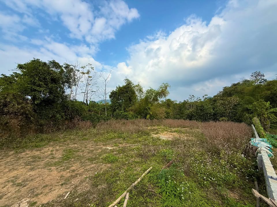 Đất thổ cư 800m² tại Bôi Cả, Kim Bôi - Giá chỉ 1 triệu/m²!